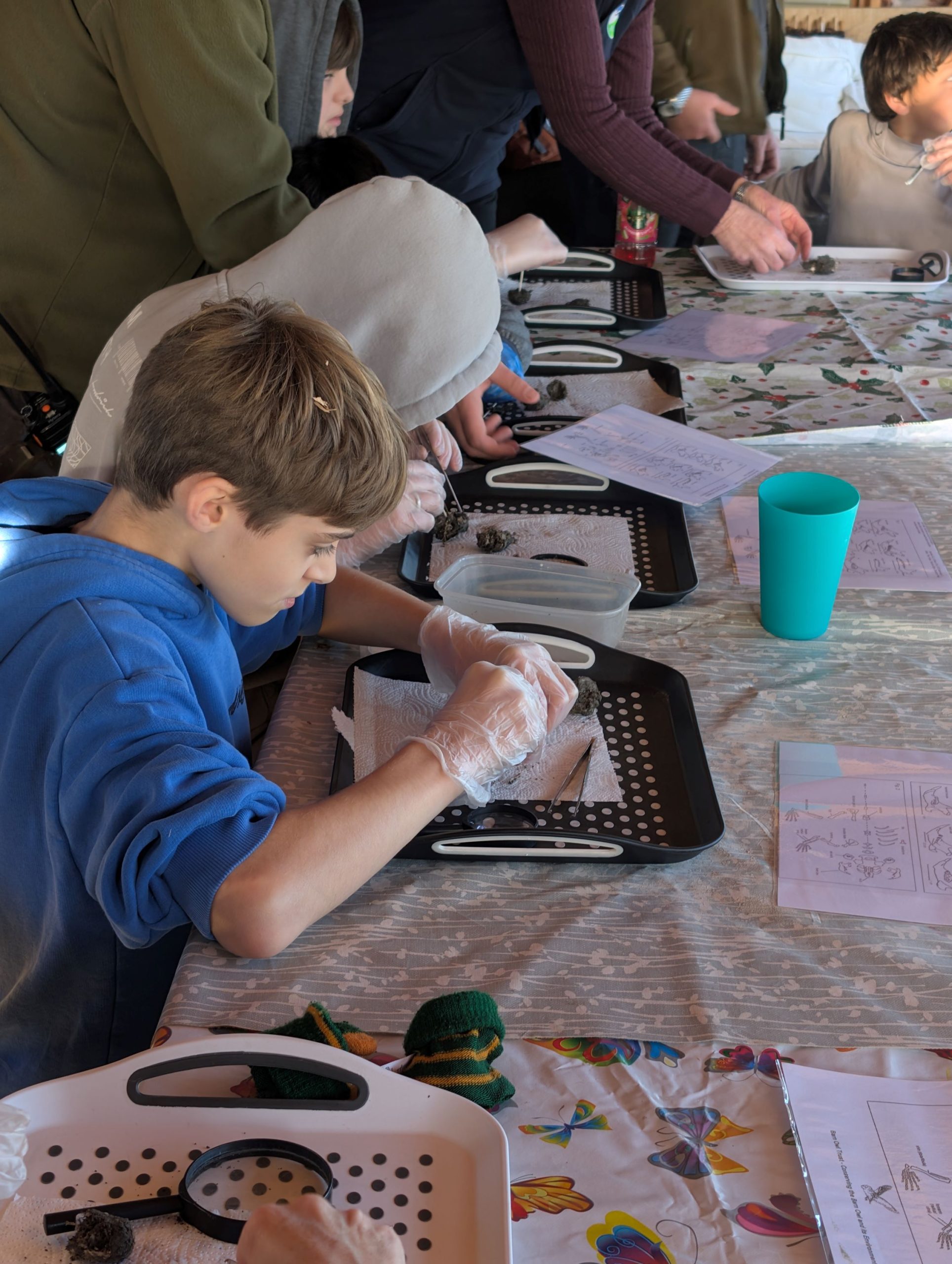 zoo, child, feed-1348086.jpg